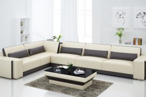 COLTAR LEUCA B